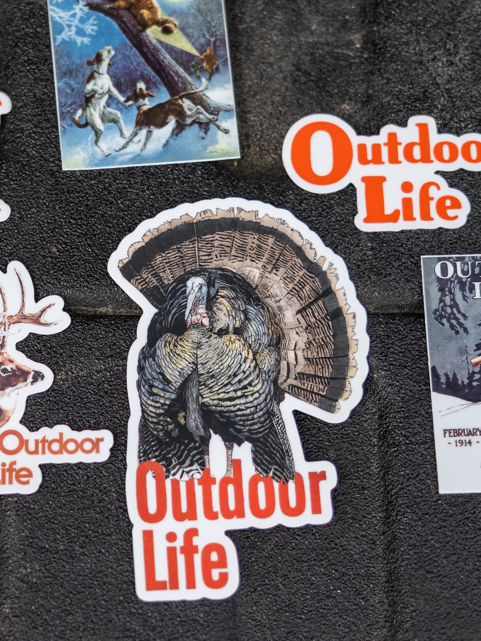 Strutter Sticker product image (3)