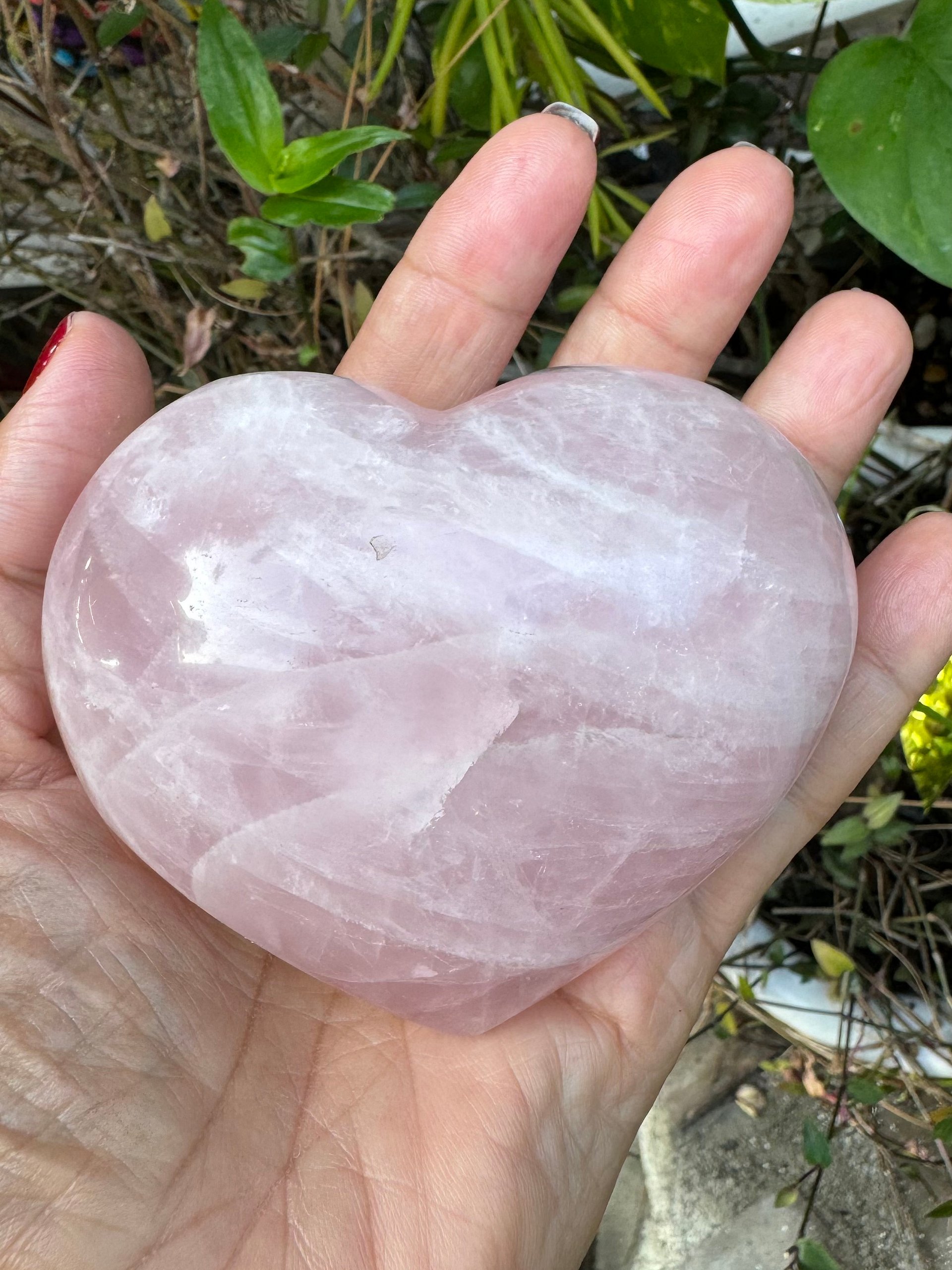 Heart-Shaped Rose Quartz - 16 oz! product image (1)
