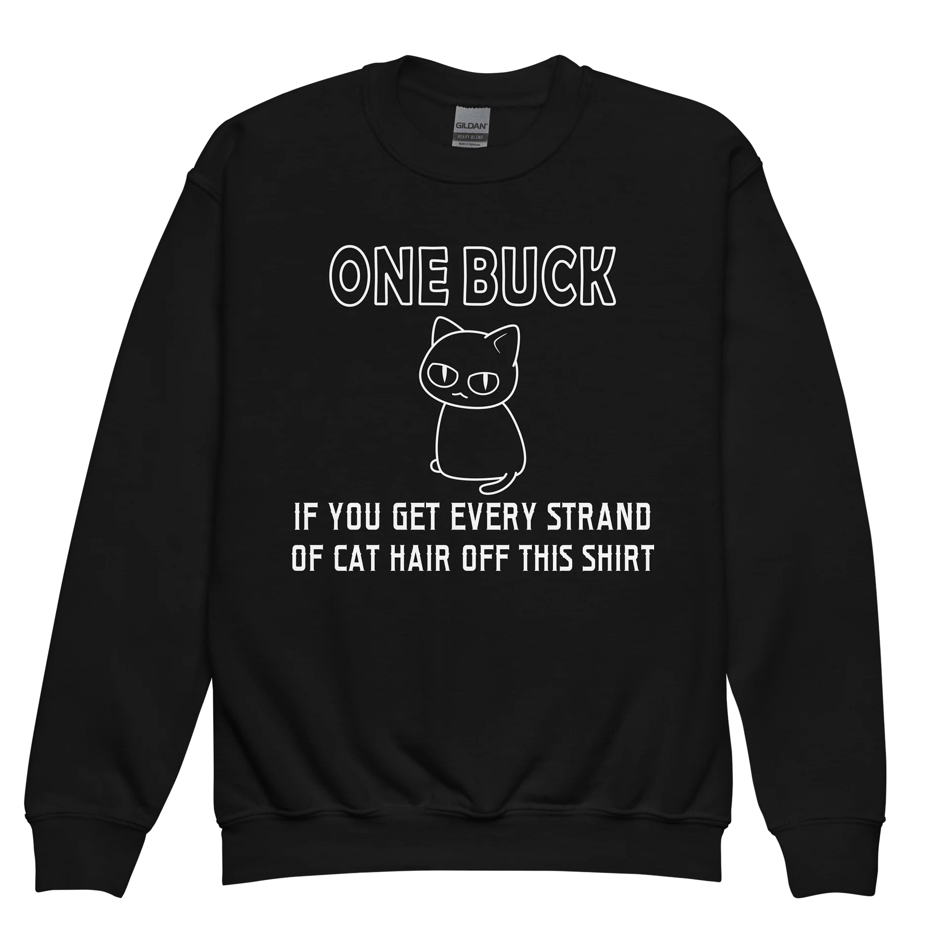 Cat Hair on Shirt - Unisex Youth Sweatshirt product image (1)