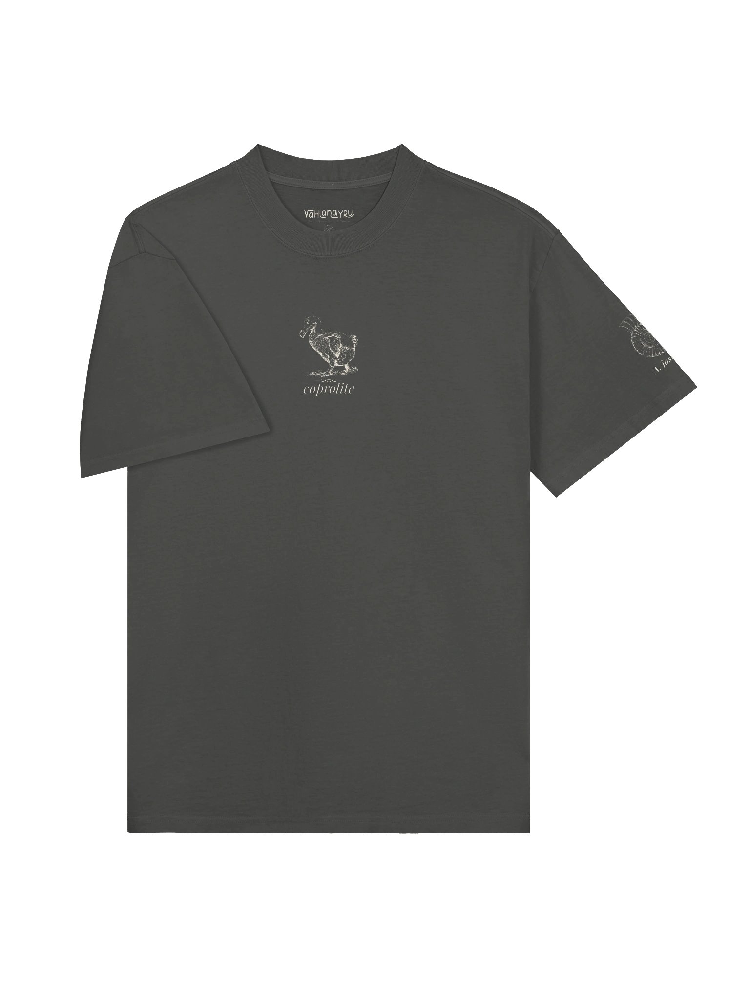 Coprolite Faded T-Shirt product image (3)