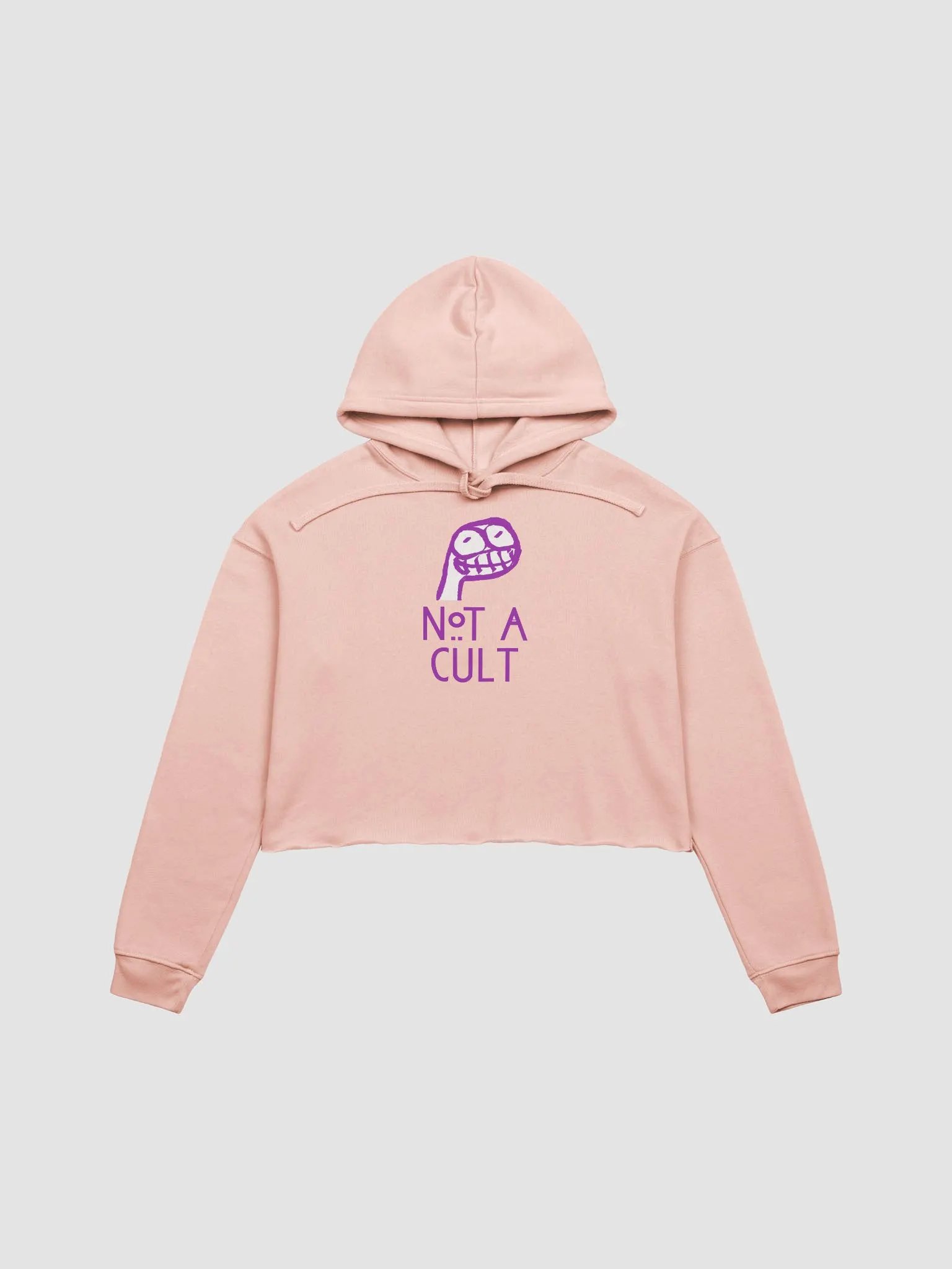 Not a Cult Crop Hoodie product image (2)