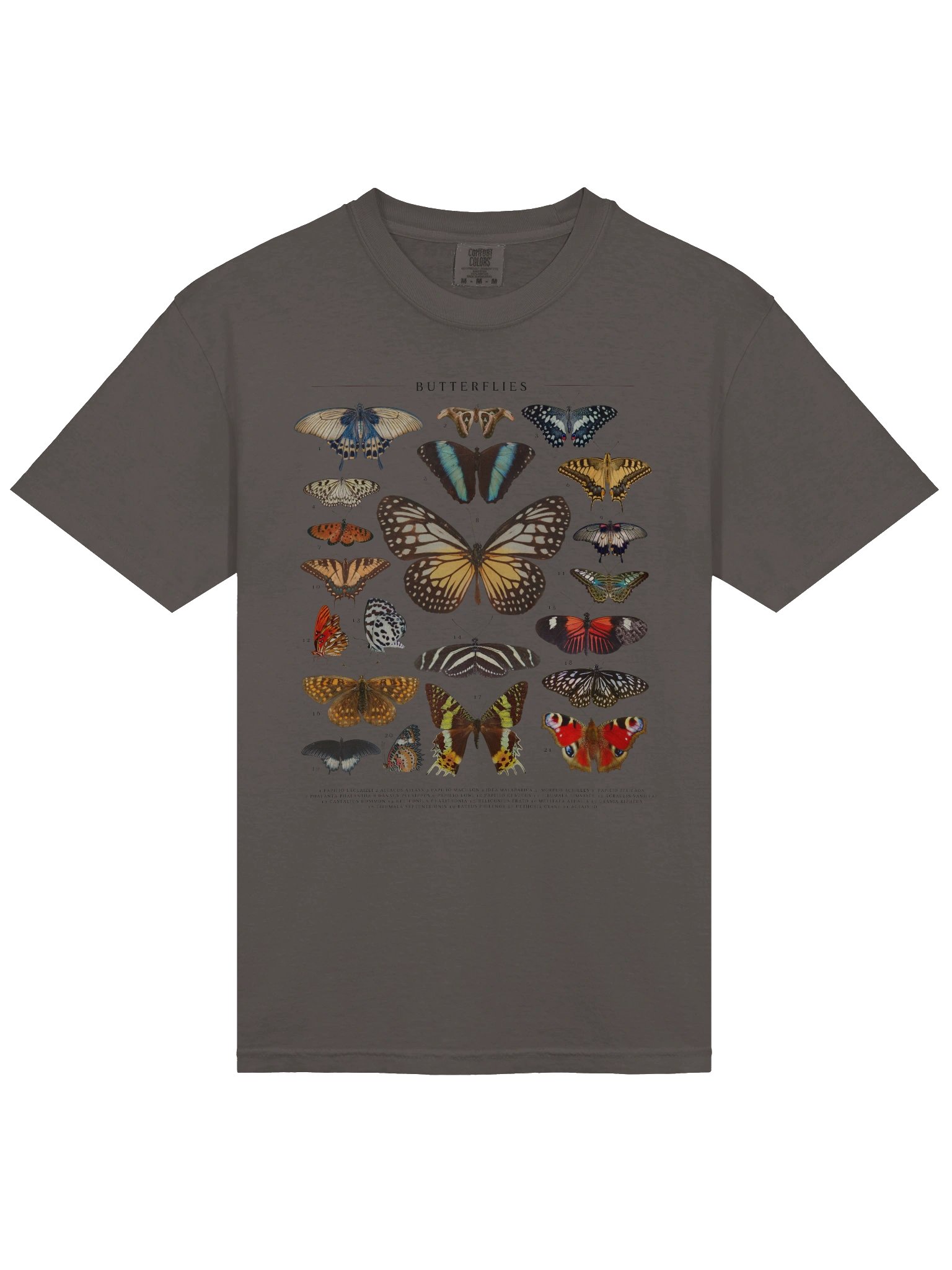Vintage Butterfly Illustration Shirt – Dark Academia Insect Collage Tee, Nature Entomology Graphic product image (25)