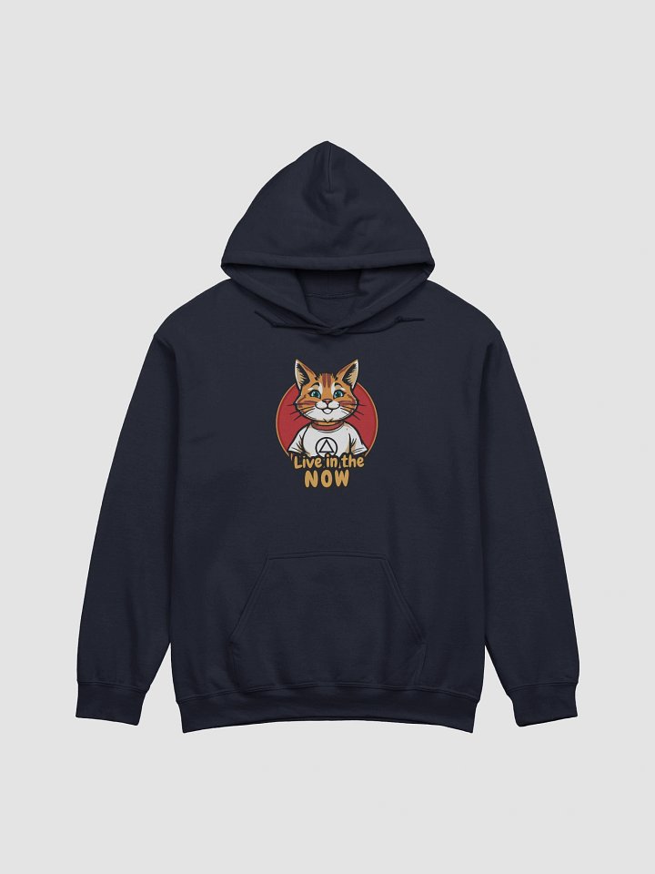 Live in the NOW Cat Lovers AA sobriety & Recovery Hoodie product image (1)