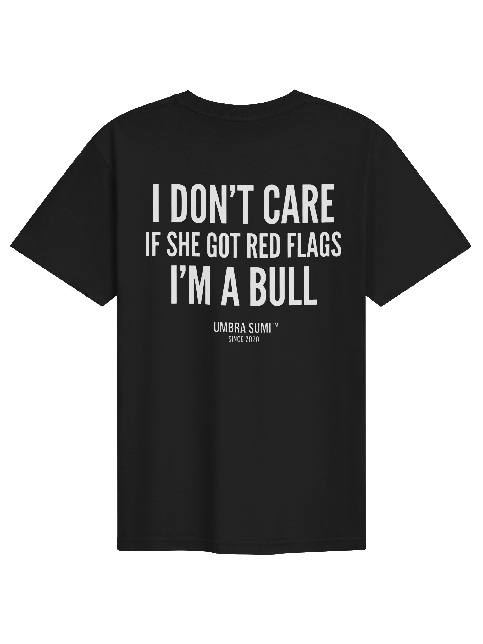 I Don't Care If She Got Red Flags Funny Men's T-Shirt product image (1)