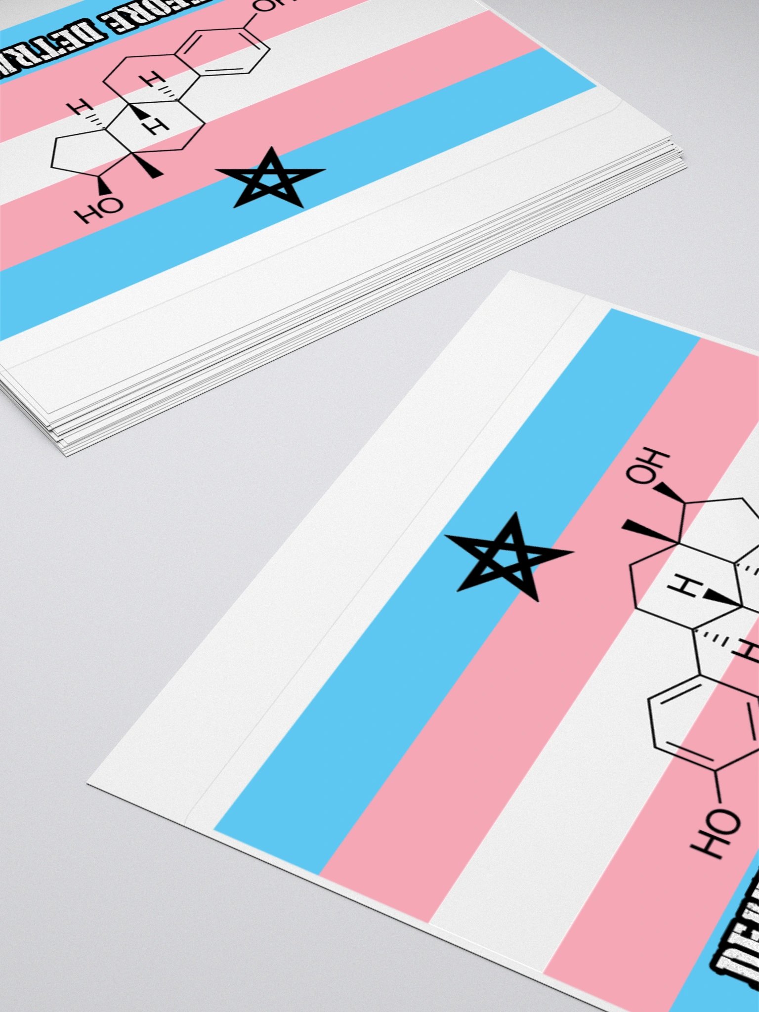 Death Before Detransition (E, sticker edition) product image (4)