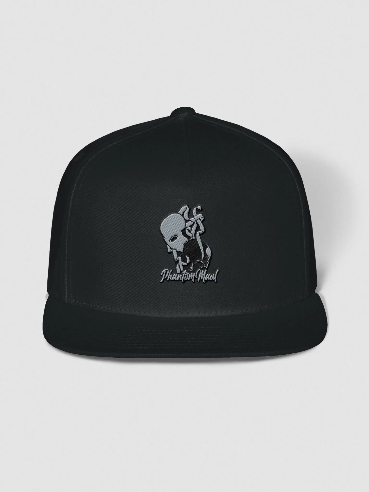 Grey & Black Logo Snap-Back product image (1)