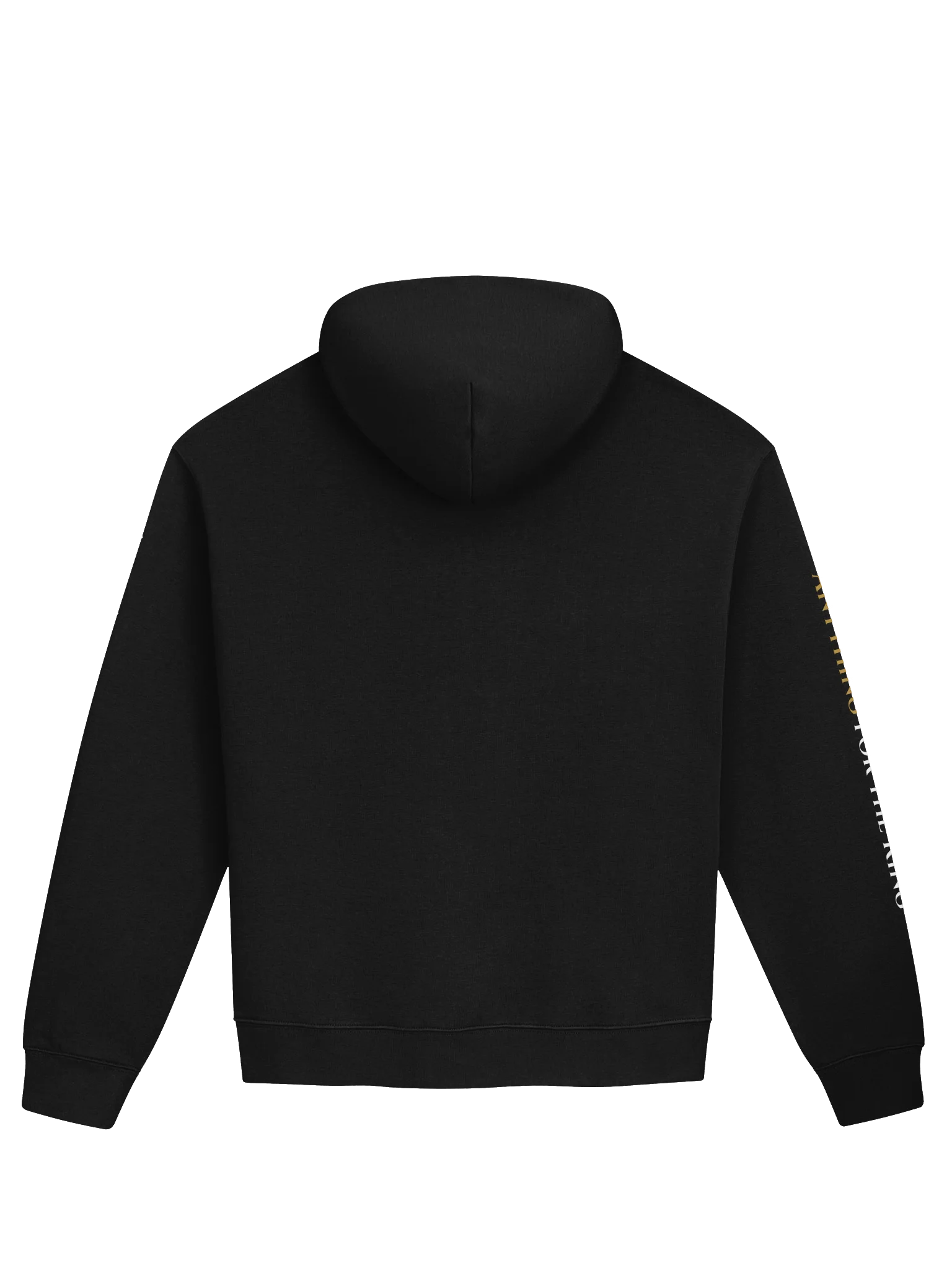 Kingdom Come Conference Hoodie | Founding Edition product image (8)
