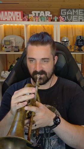 Welchen Song spiele ich? Schreibs mir in die Kommentare!
#guessthesong #songrätsel #trumpet #twitch