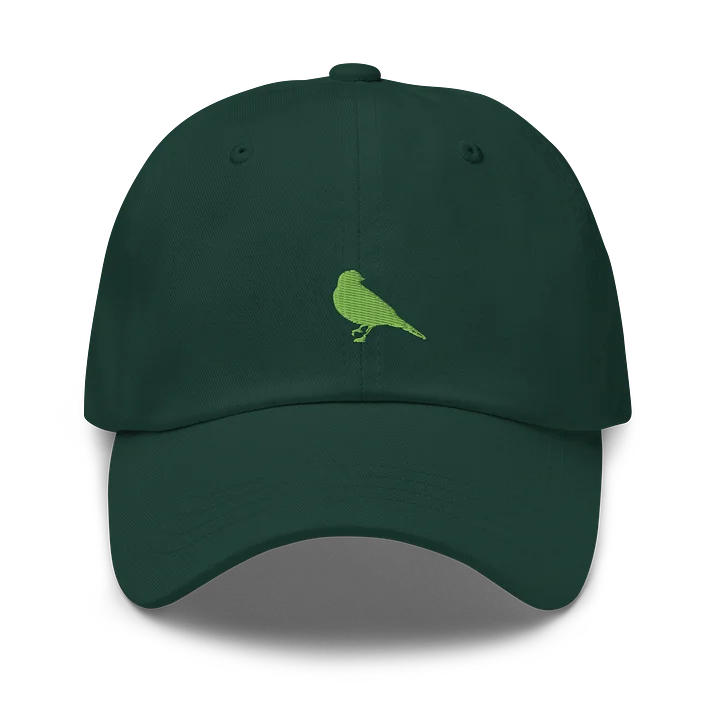 Rosemary Yupoong Baseball Hat product image (1)