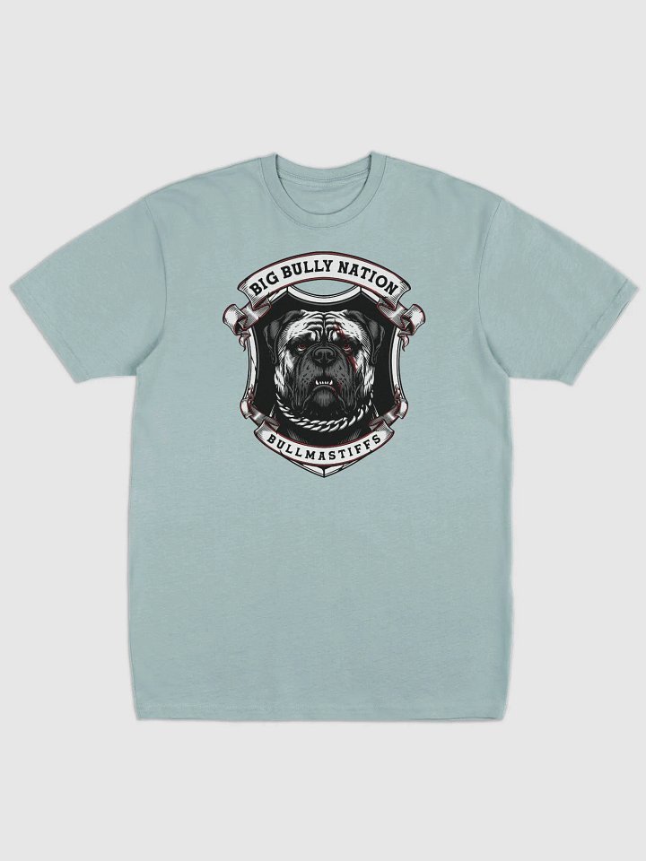 BBN Alter Ego Men's Tee product image (3)