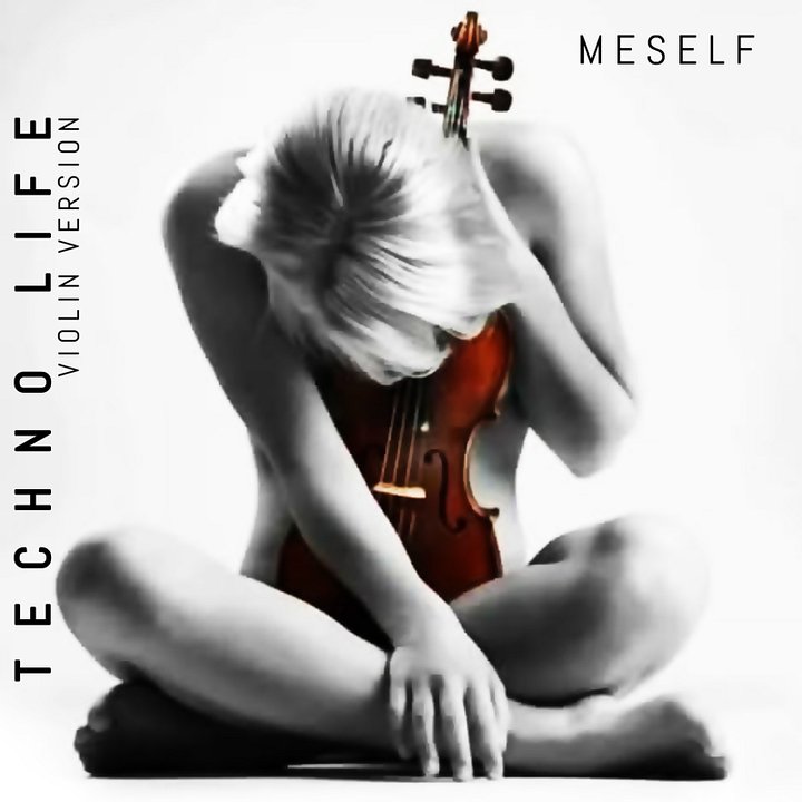 Techno Life (Violin Version) (Meself) product image (1)