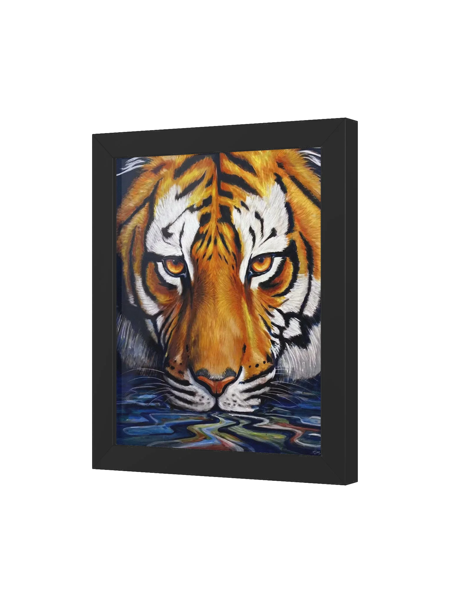 Tigers Gaze product image (3)