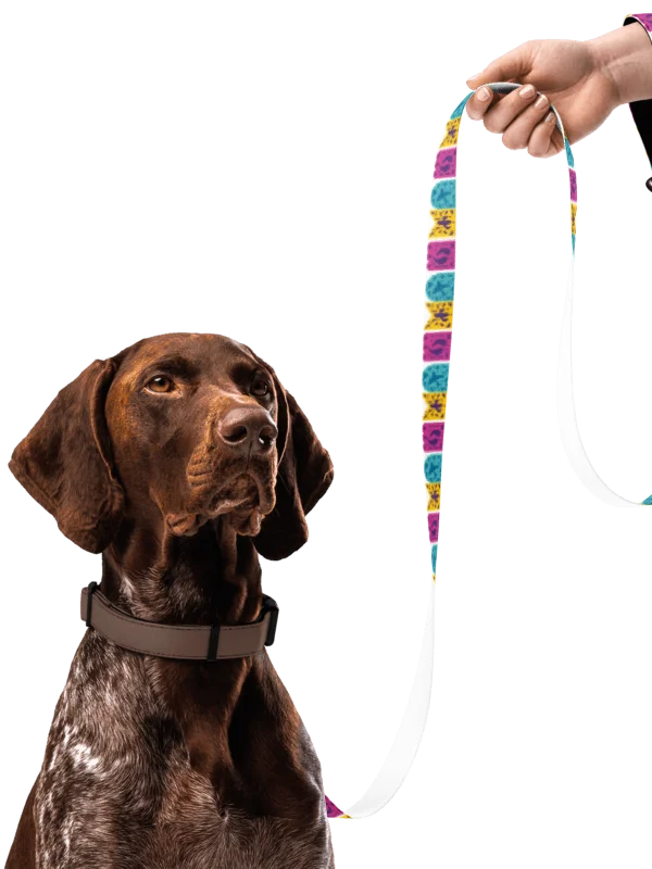 Juicey Tech Pet Leash + Collar product image (4)