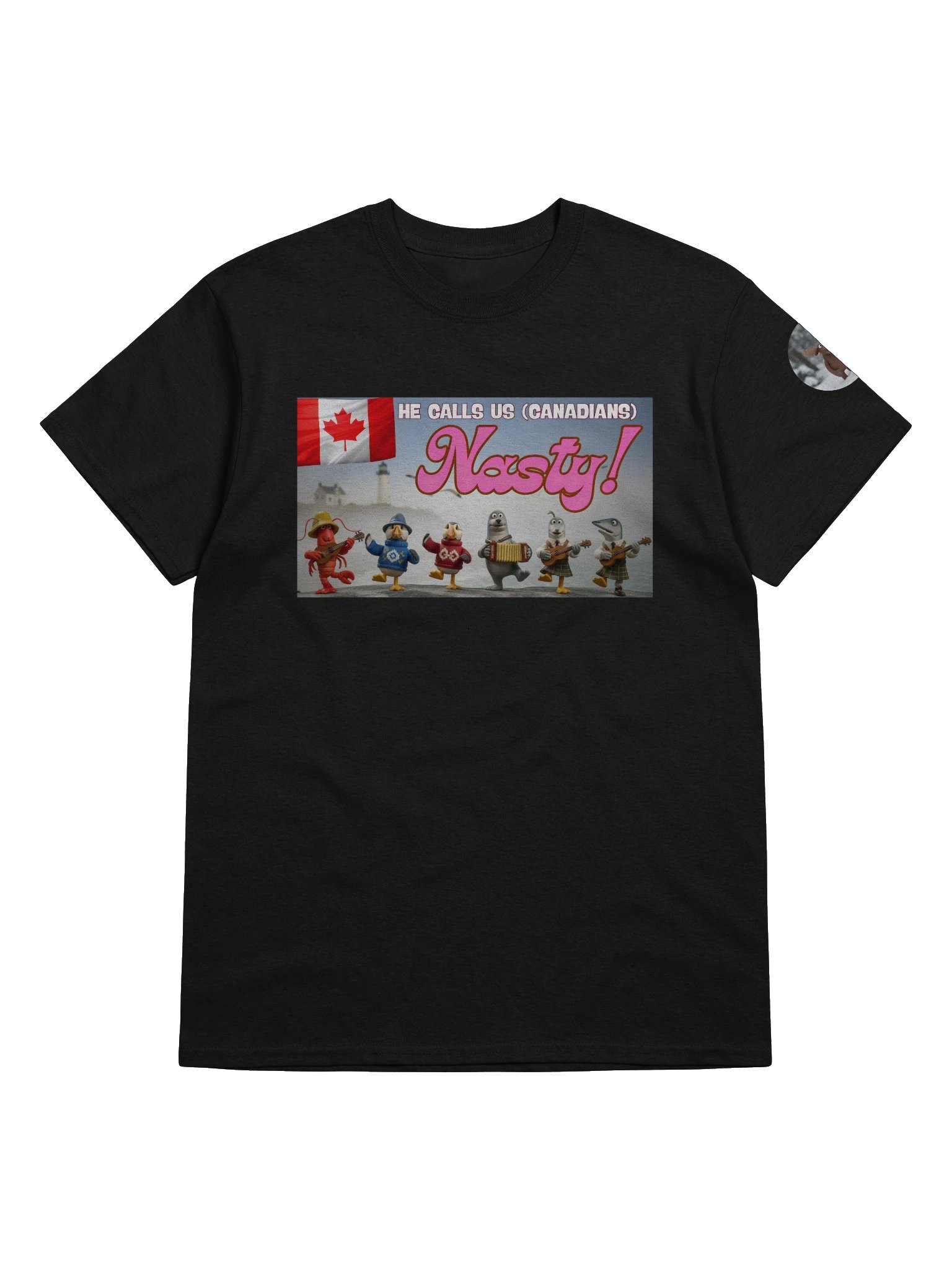 I'm a Proud, Nasty, Canadian | Essential Character Tee product image (5)