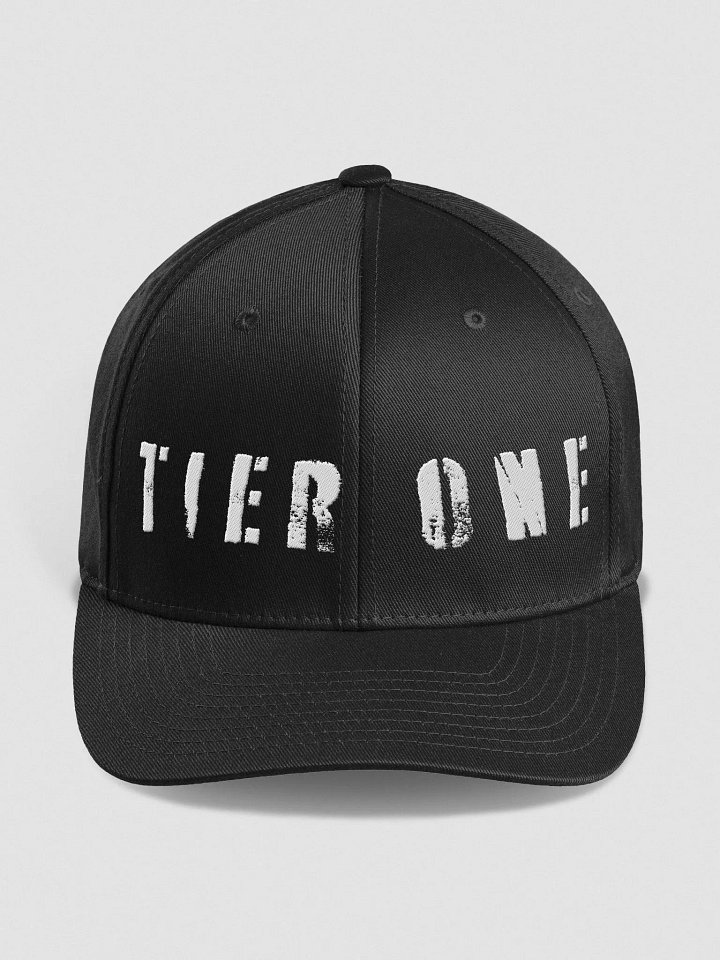 Bosley For Tier One Flex Fit Hat product image (4)