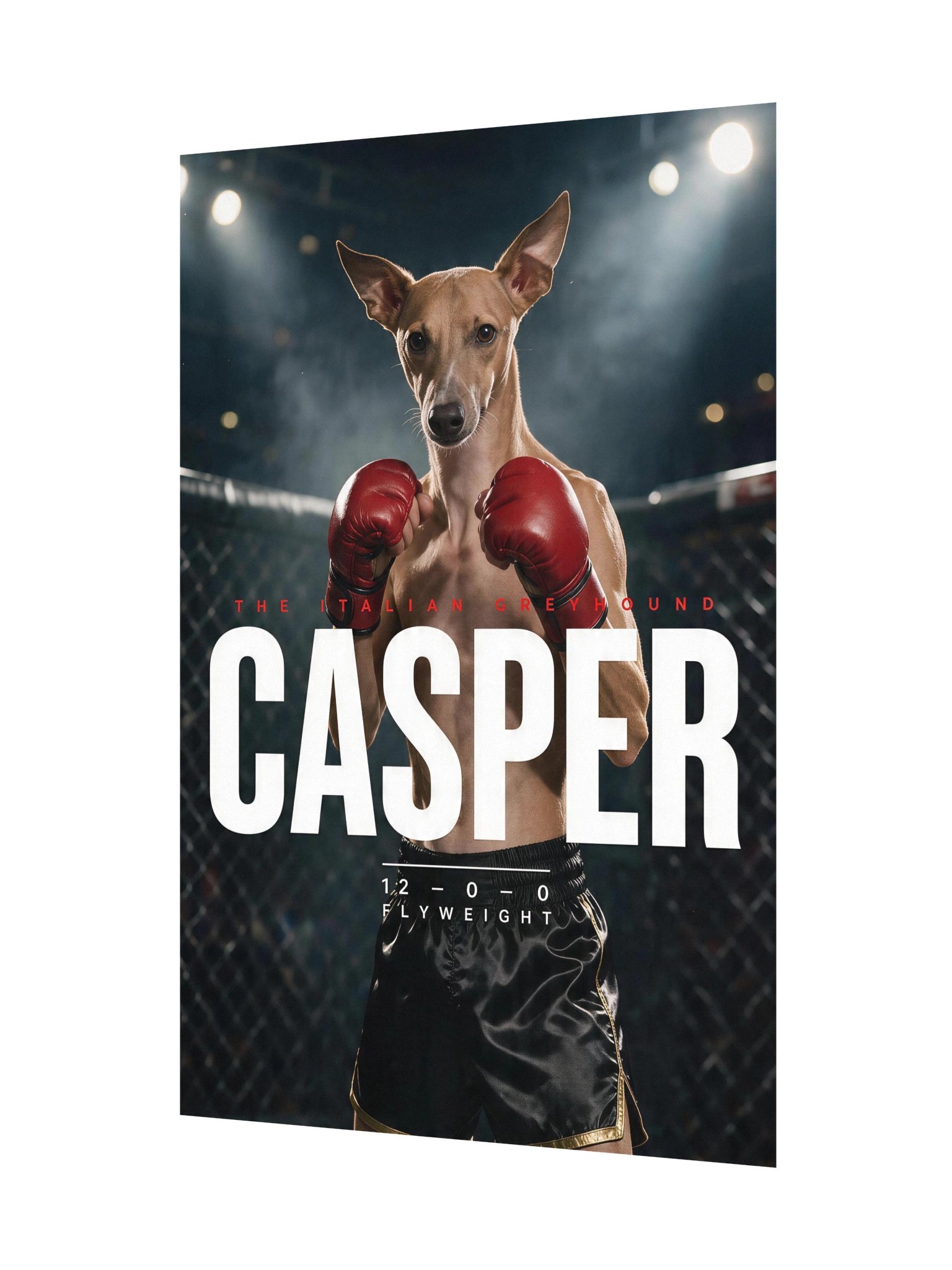 Fight Poster product image (3)