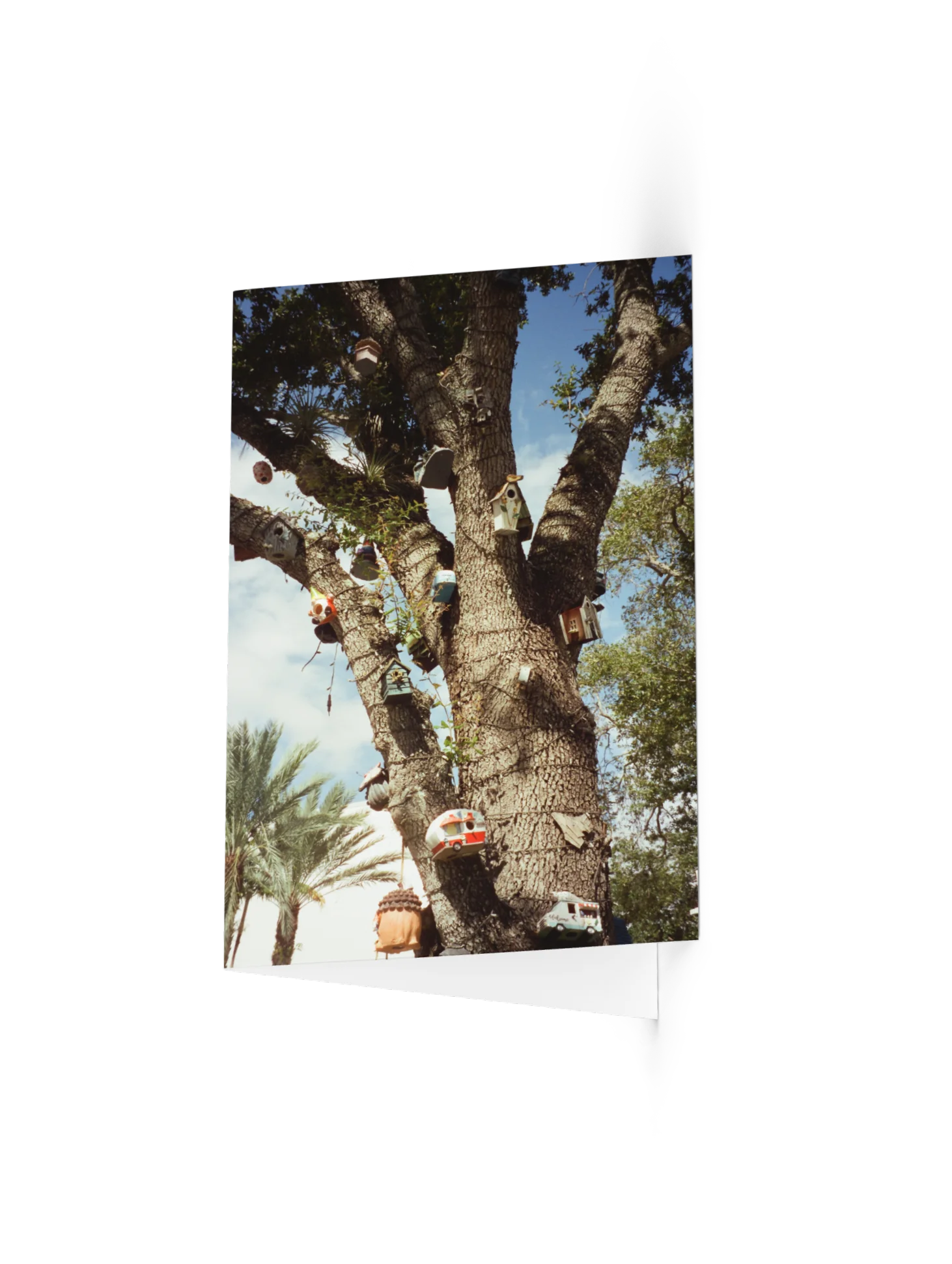 Kitsch "Postcard" product image (1)