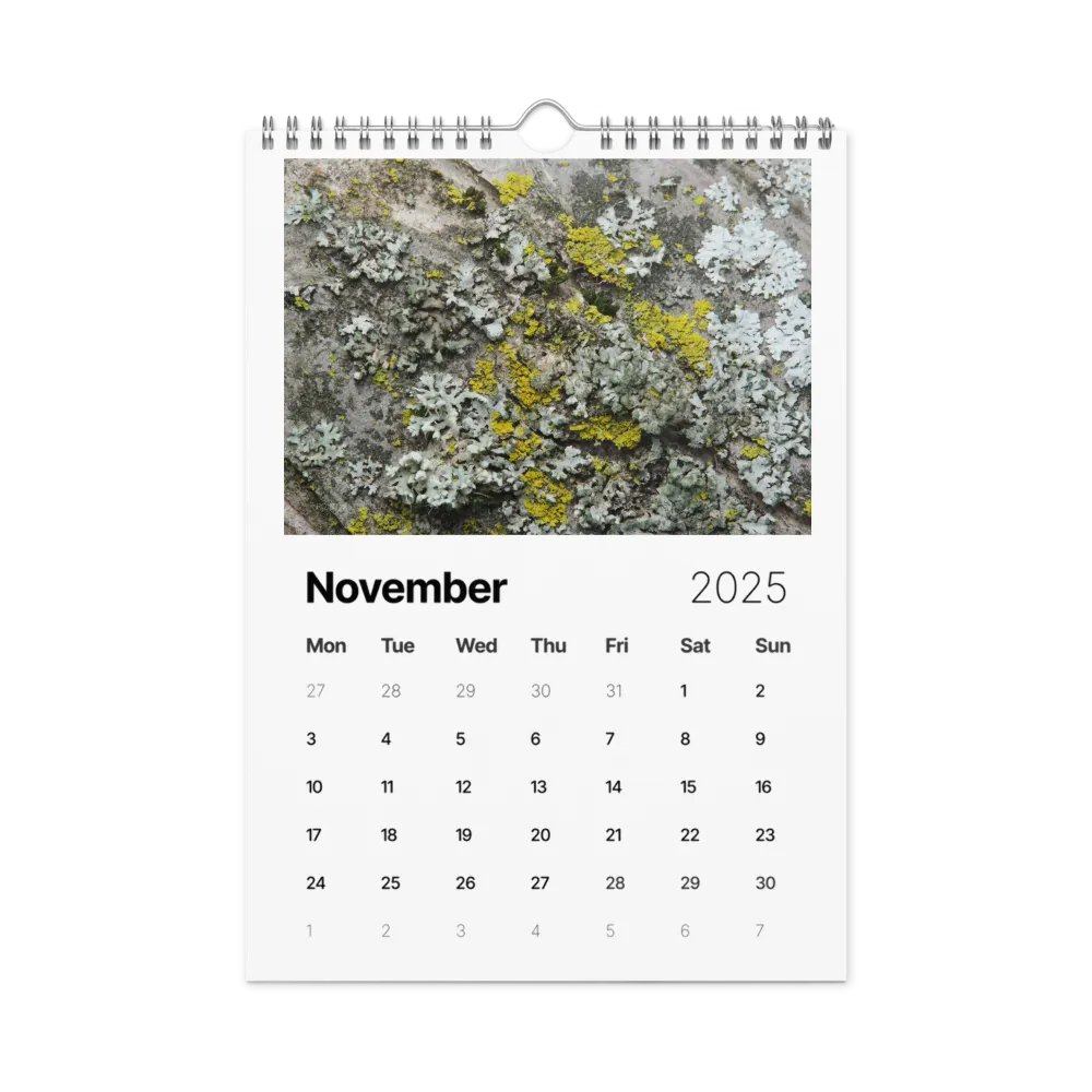 Likin' Lichen 2025 Wall Calendar product image (12)