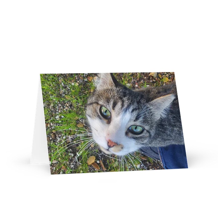 Banjo Says HELLO! product image (1)