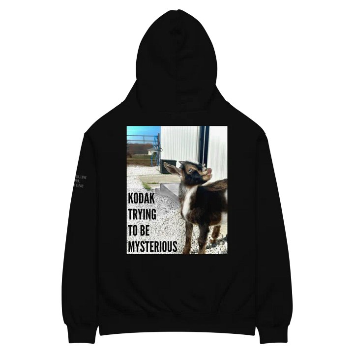 Over Sized Hoodie ft. Kodak product image (1)