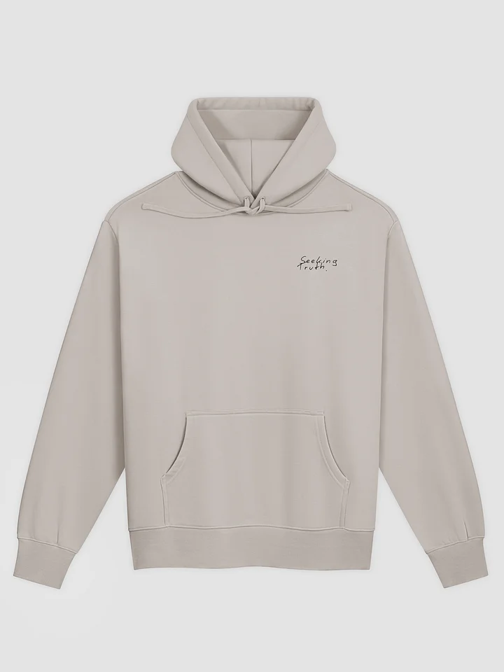 Seeking Truth Premium Hoodie product image (1)