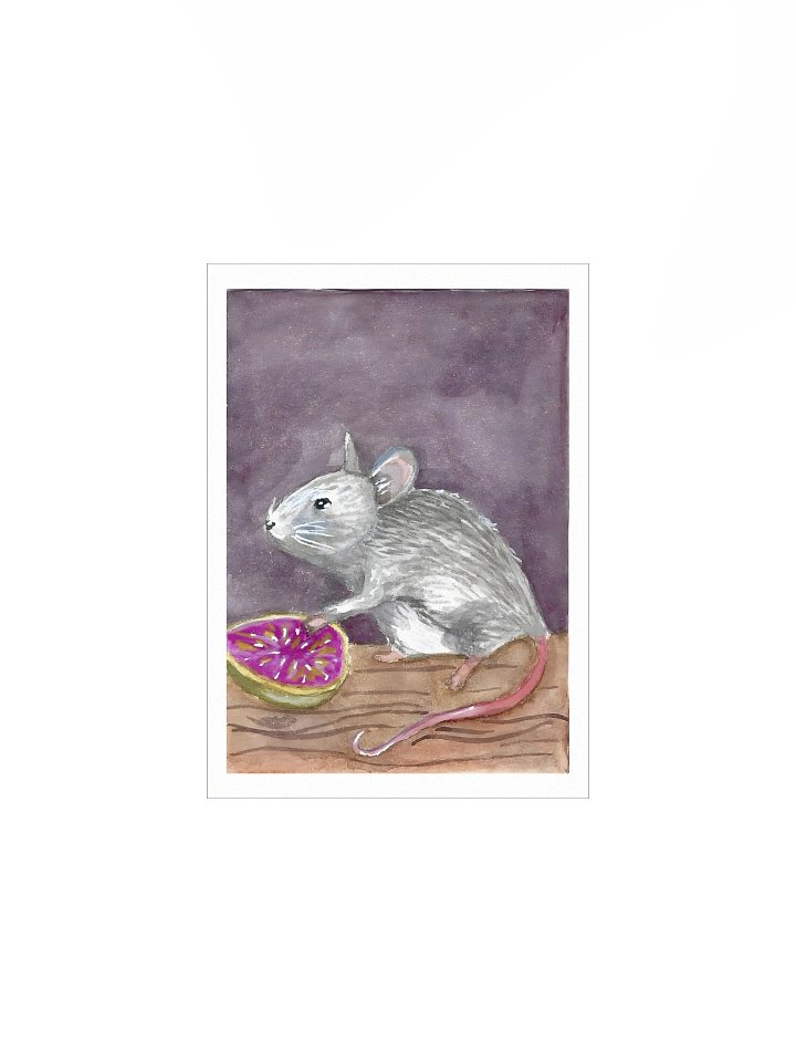 #7 Mouse finds a fig - The Wildwood Wash product image (5)