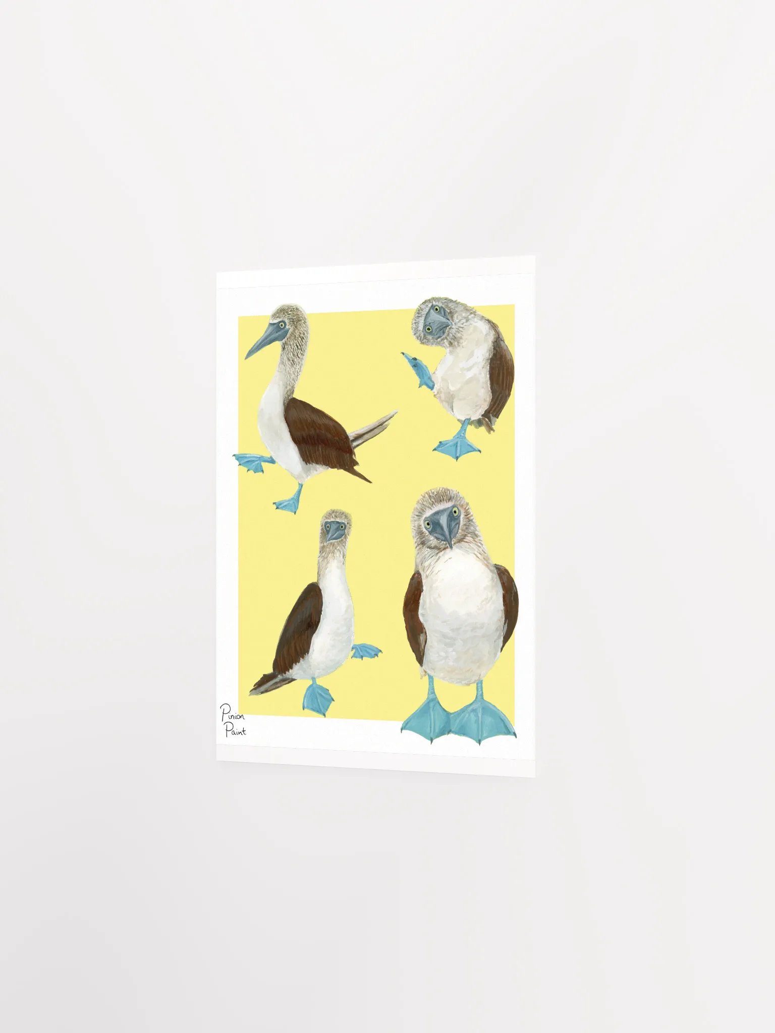 Boobies print product image (2)