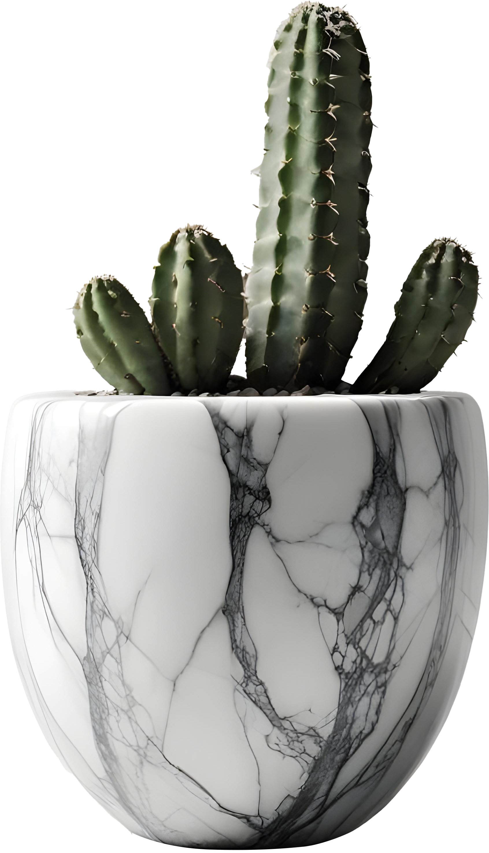 Marble Eternal – Cactus Marble Pot PNG product image (1)