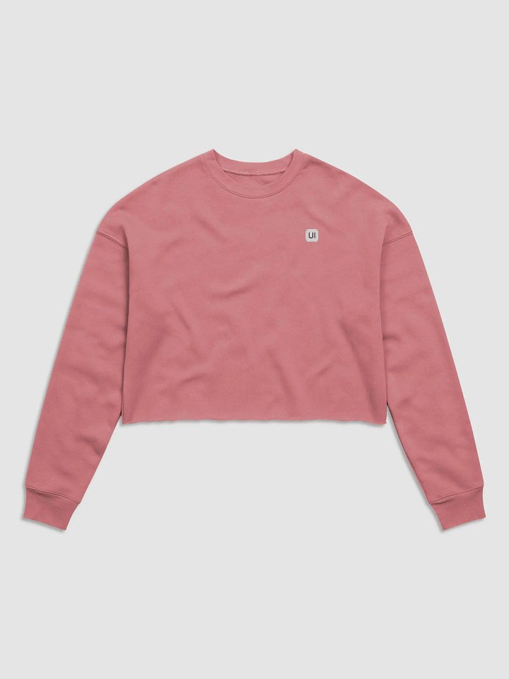 HeroUI Pink Hoddie product image (1)