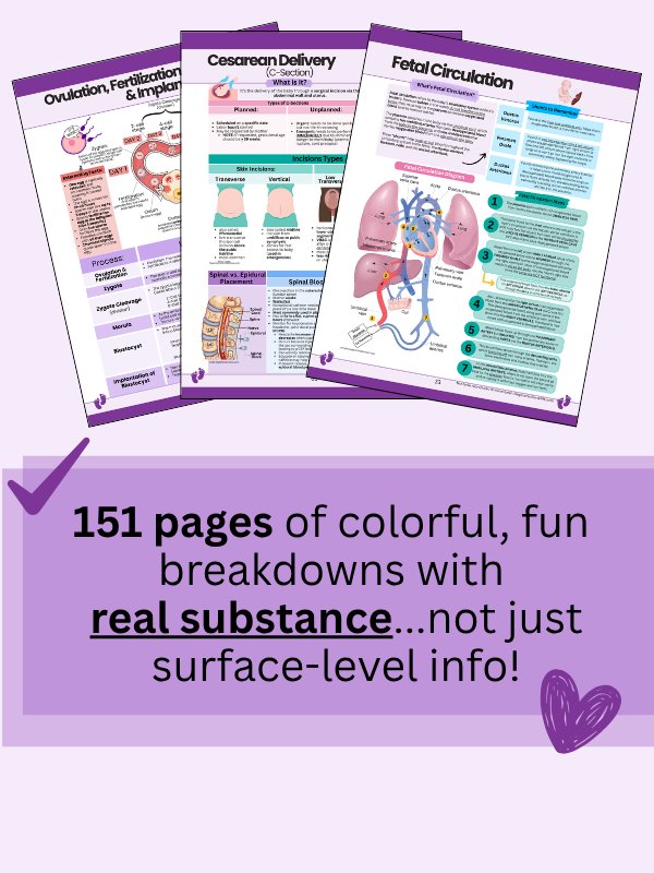 Maternity Nursing Study Guide and Questions by Nurse Sarah® (Digital) product image (2)