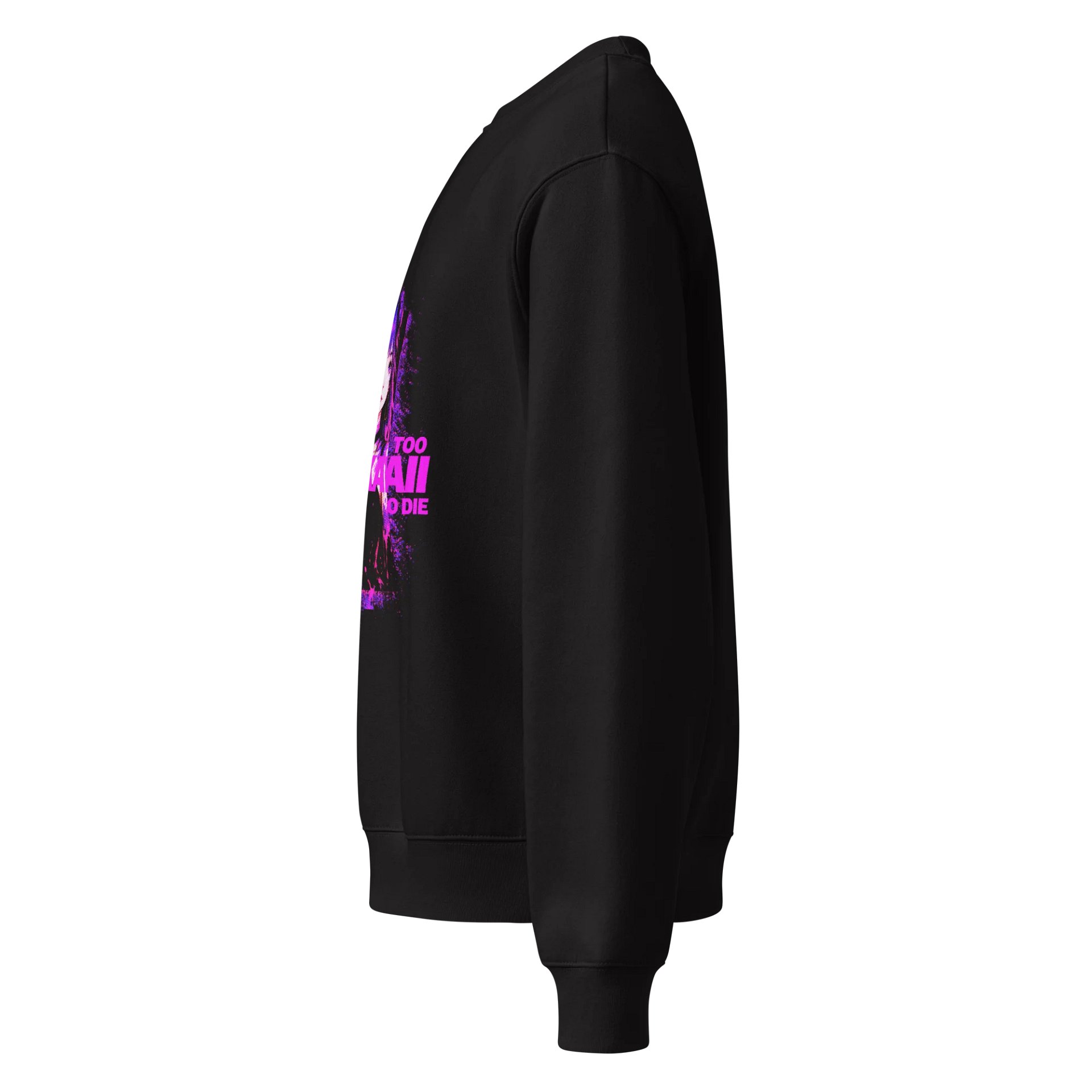 Too Sugoi/Too Kawaii Painted Frame Sweatshirt product image (3)