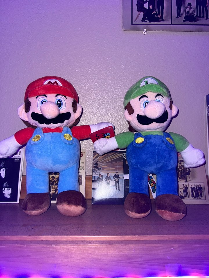 Mario & Luigi Plush product image (1)