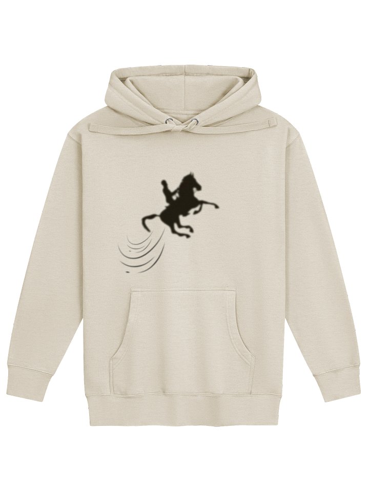 Audacity Hoodie product image (37)