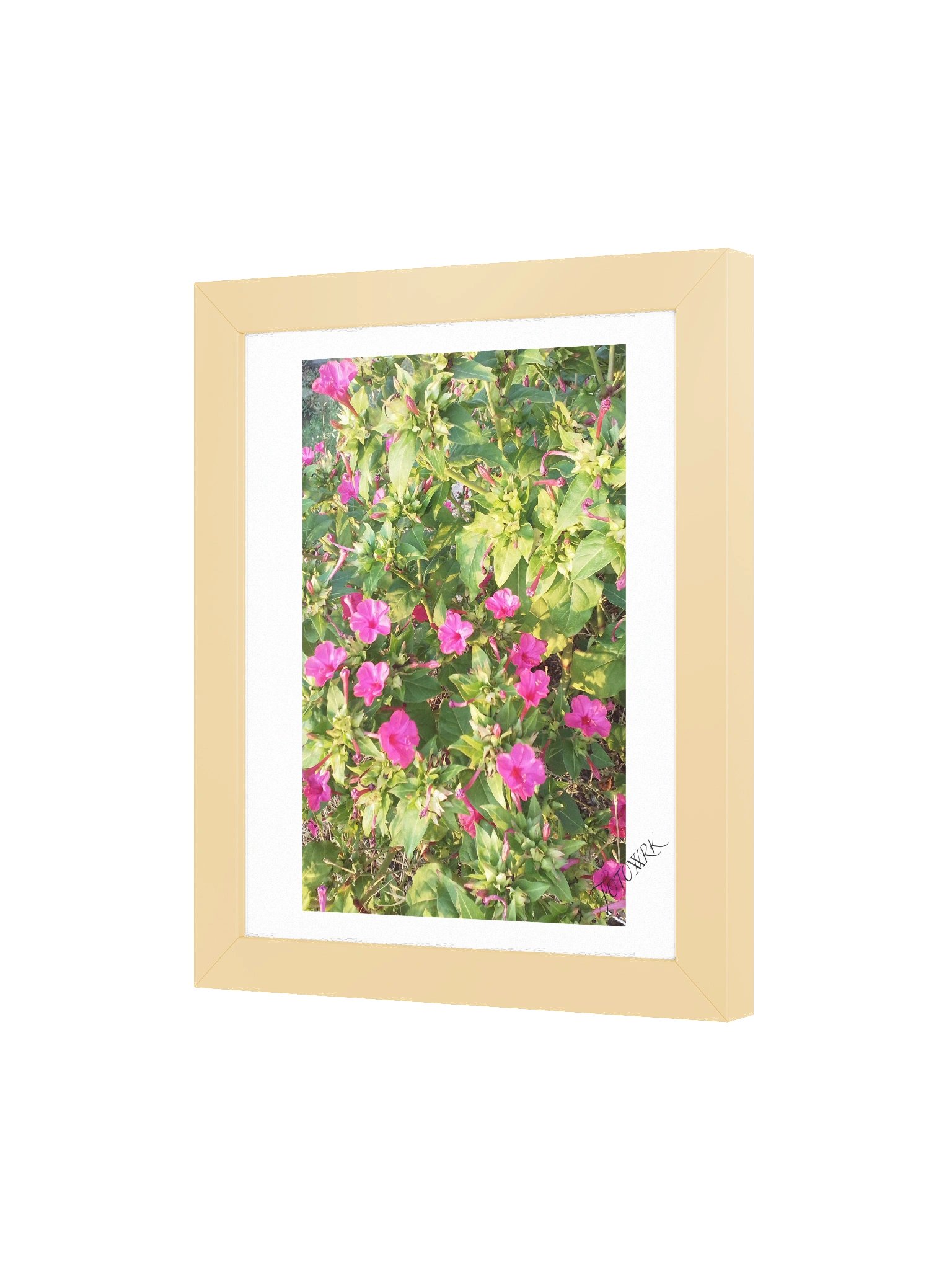 Megi - Fine Art Botanical Matte Poster product image (4)
