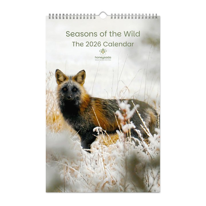 Seasons of the Wild: The 2026 Honeysada Calendar product image (1)