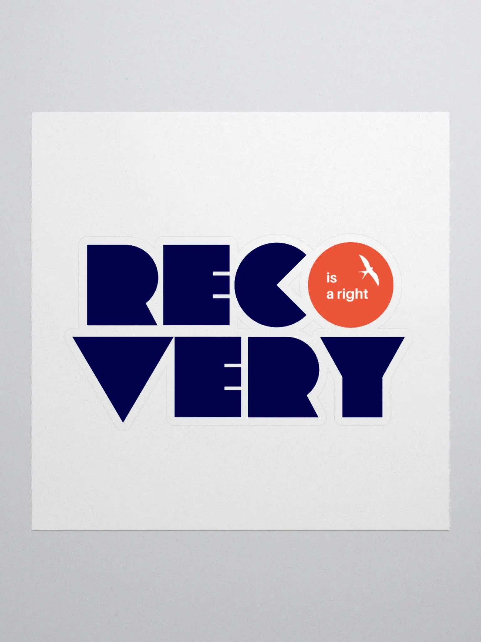 Recovery is a Right product image (3)