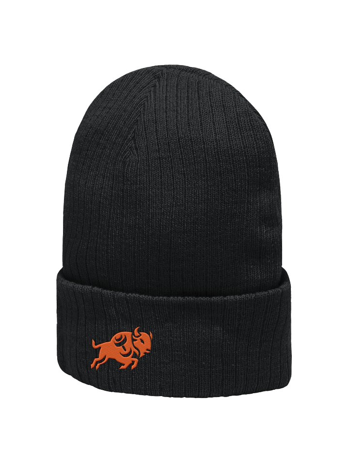 Dynamic Bison Motion Ribbed Beanie product image (2)