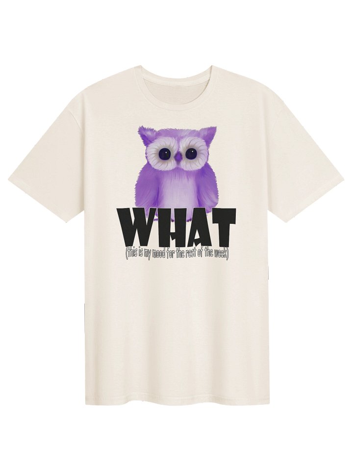 Unisex Gildan Softstyle T-Shirt product image (1)