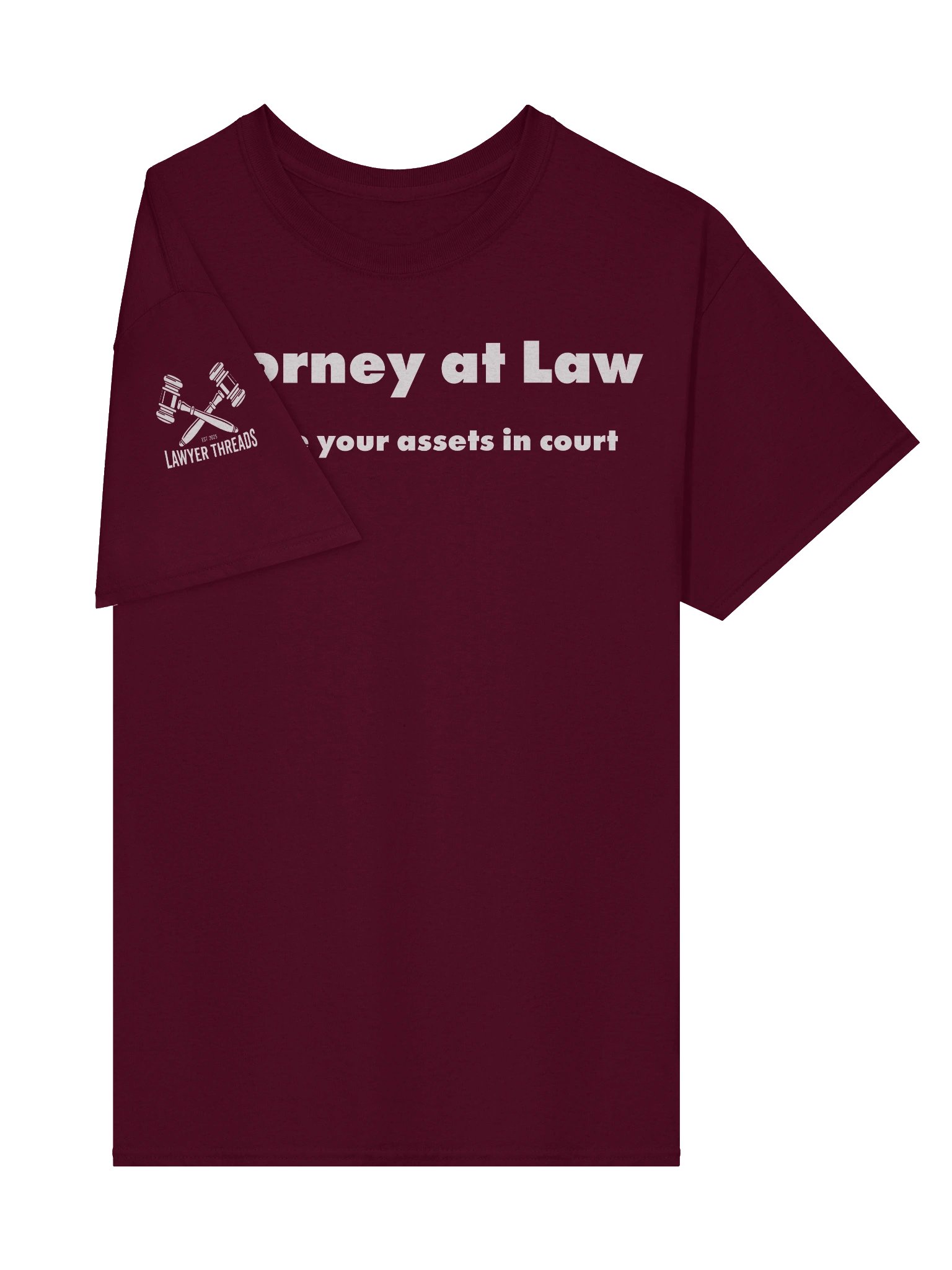 Attorney - See Your Assets in Court product image (6)