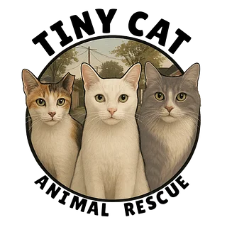 Tiny Cat Animal Rescue