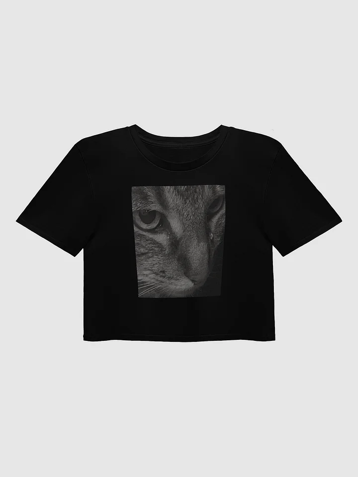 Dramatic Maui Cropped Tee product image (1)