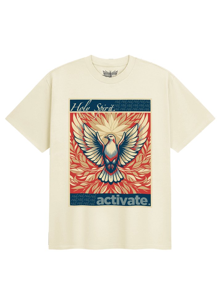 HOLY SPIRIT ACTIVATE product image (1)