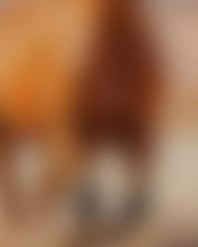 I’m saving the full official artwork reveal for release day, but for now, this little glimpse is doing exactly what it needs ...