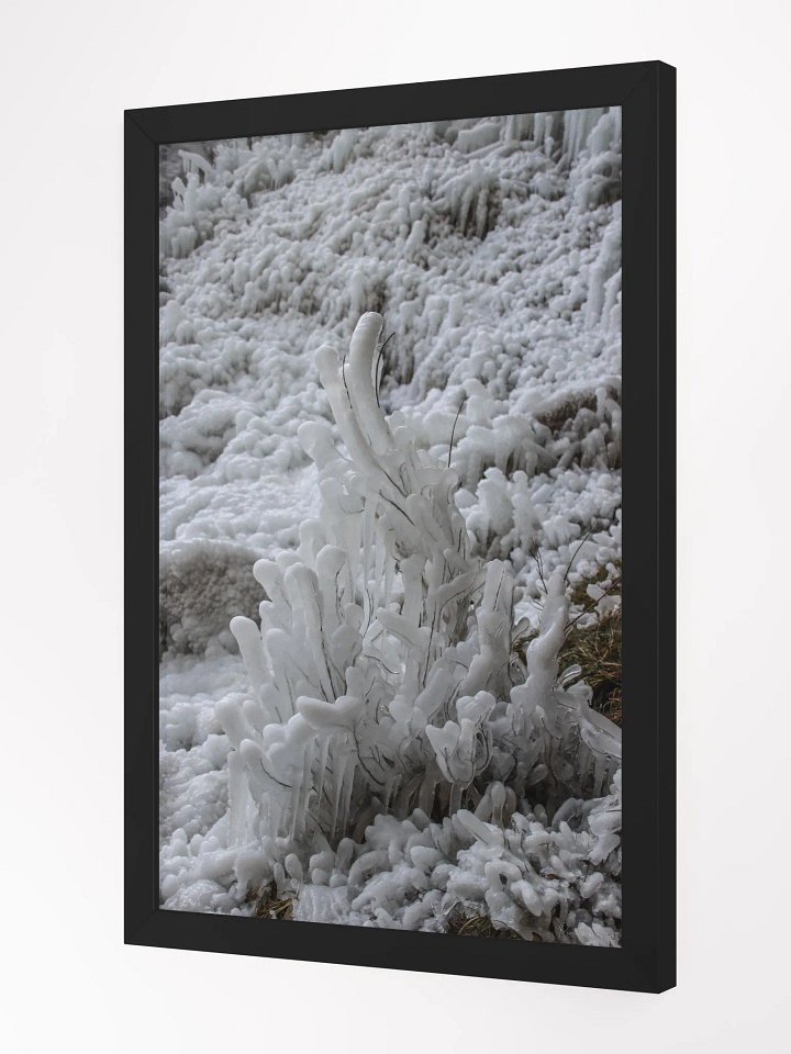 Prestige Print Fine Art - Limited edition - Frozen Elegance, Cascade de Clars product image (2)