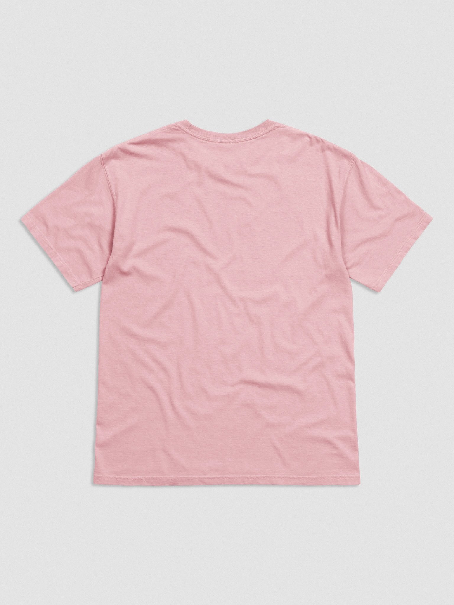 Keeps Getting Terrier T-Shirt(Embroidered) of an American Hairless Terrier(Gray) product image (5)