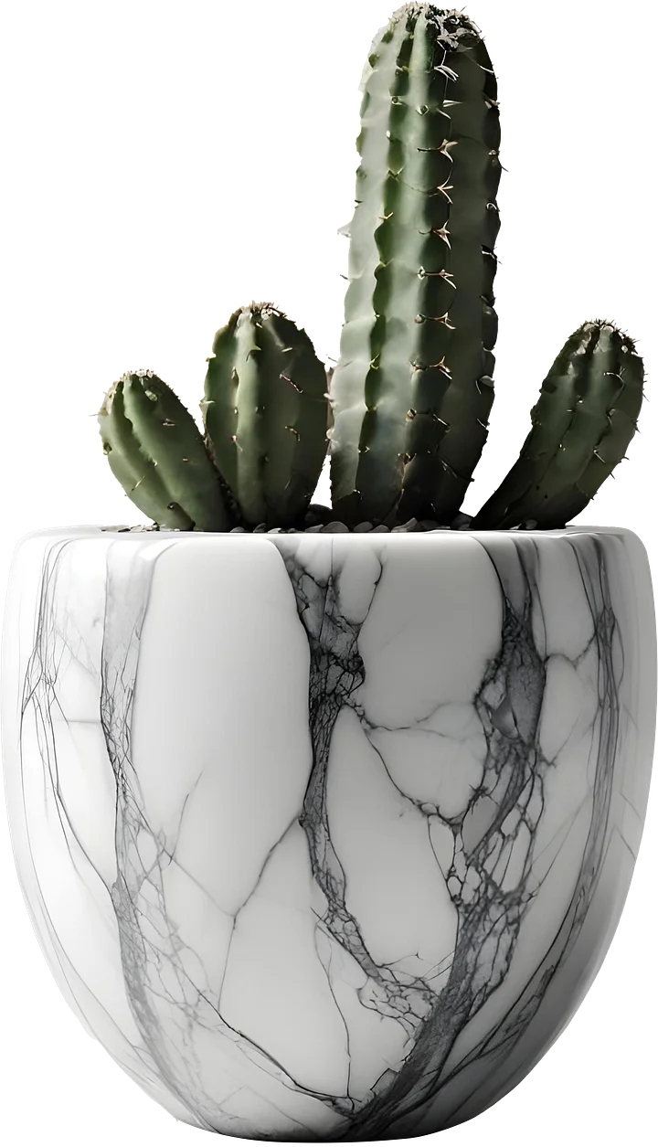 Marble Eternal – Cactus Marble Pot PNG product image (1)