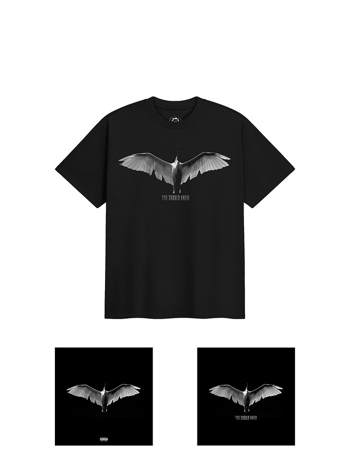 YOU SHOULD KNOW Tee + Music product image (1)