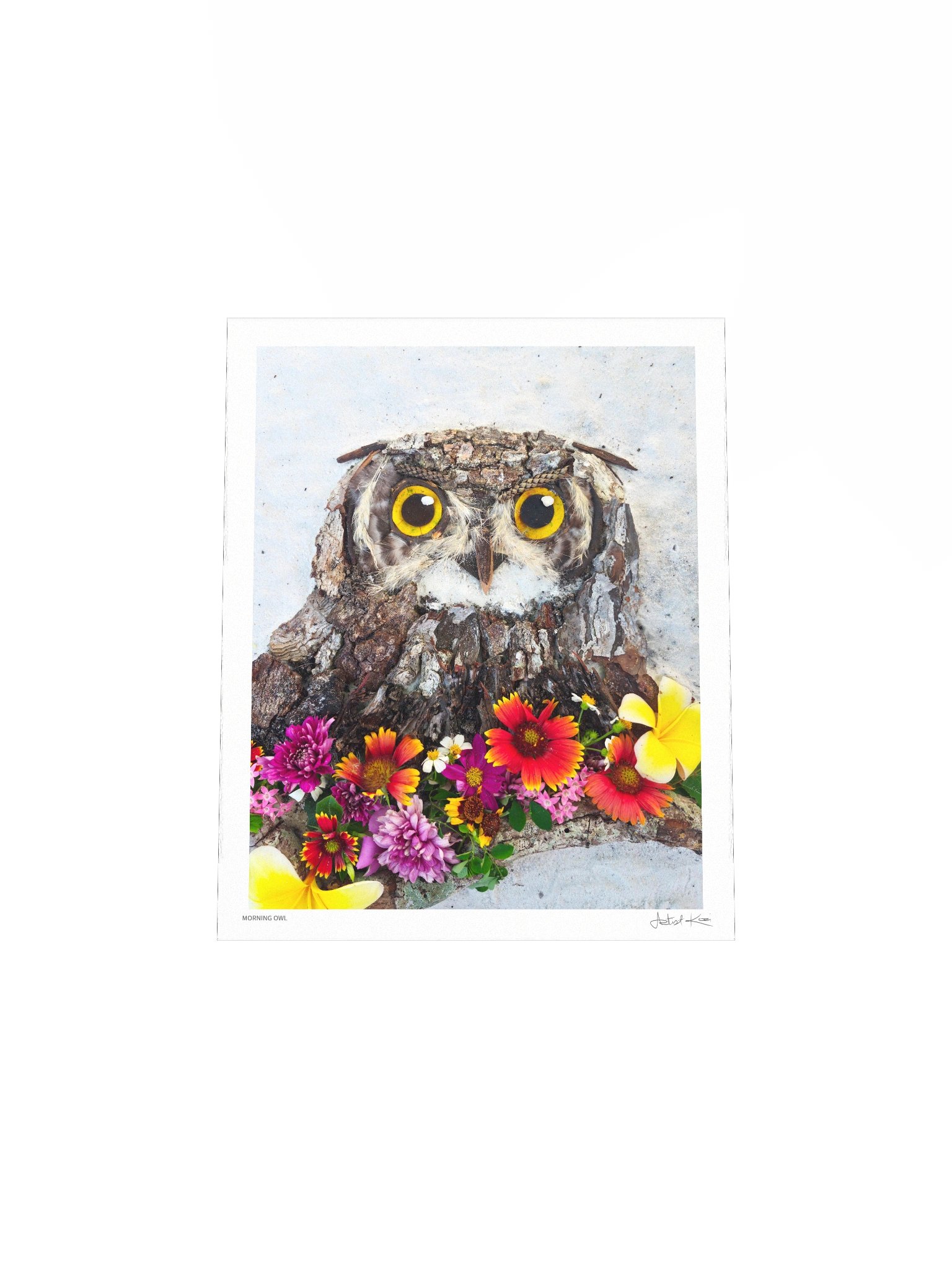 MORNING OWL | Fine Art Print product image (8)