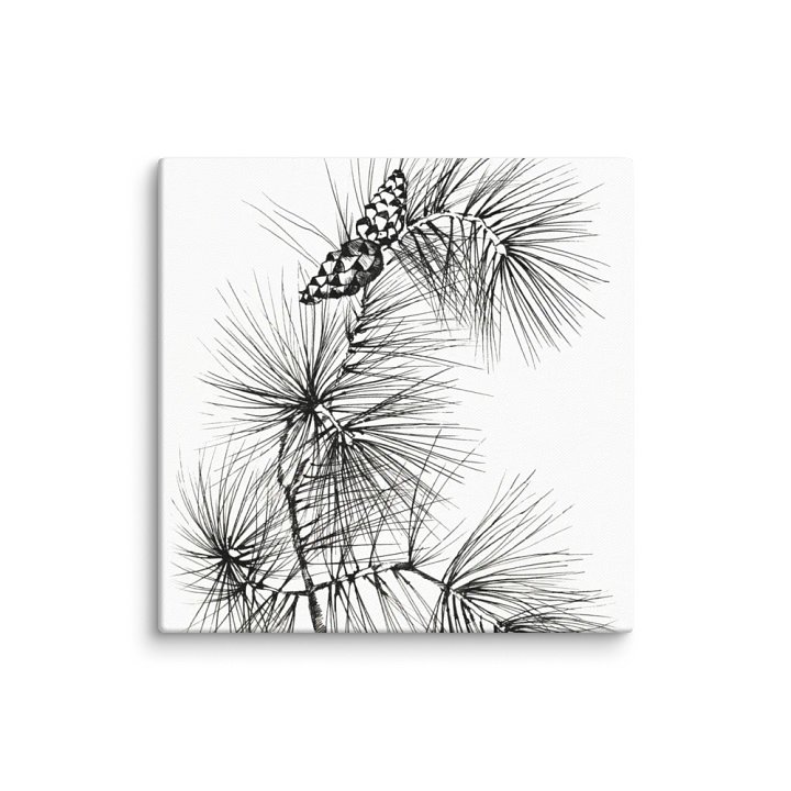 Blank Canvas: Unleash Your Artistic Vision - Pine Branch and Cones product image (1)