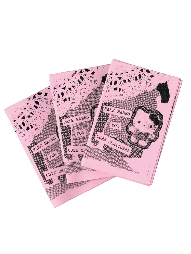 "Fake Names for Cute Creatures" Minizine product image (1)